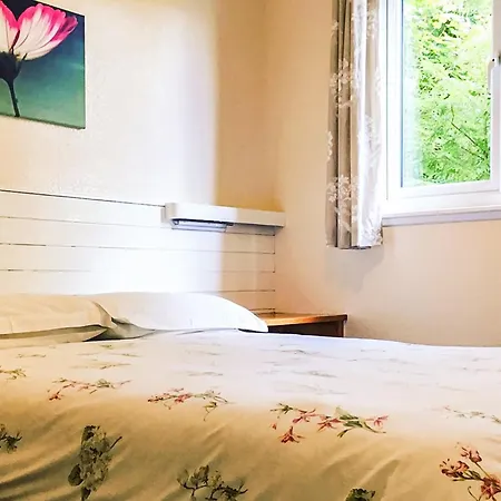 Tatil parkı Ruthern Valley Holidays 3*