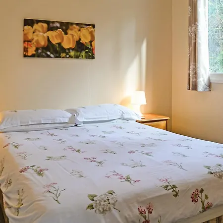 Tatil parkı Ruthern Valley Holidays 3*